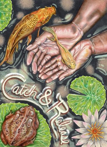 Catch & Release by Laura Buscemi