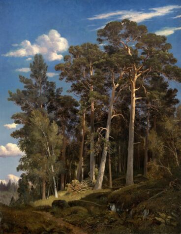 Pine Forest (1866) by Ivan Shishkin